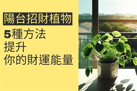 陽台植物招財|陽台植物招財秘笈：15種招財植物打造財源廣進 